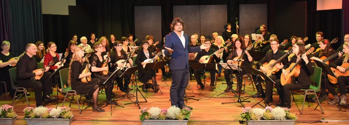 Festivalorkest